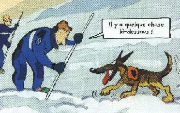 La suite de l'histoire...